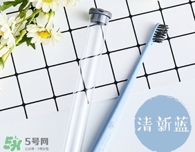 amortals爾木萄牙刷怎么樣？amortals爾木萄牙刷多少錢？