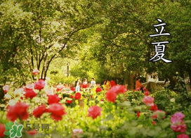 ?立夏是夏天嗎？?立夏是夏天的開始嗎？