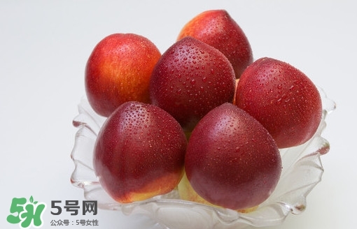 油桃什么時候成熟？油桃什么季節(jié)成熟