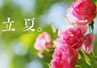 立夏開什么花？立夏有什么花？