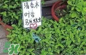 寶寶驅(qū)蚊產(chǎn)品哪個(gè)好？寶寶驅(qū)蚊用什么好？