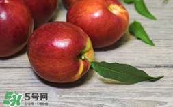 油桃什么時候成熟？油桃什么季節(jié)成熟