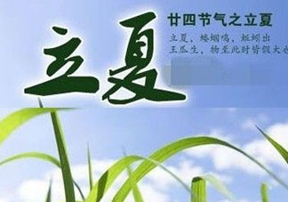 立夏后吃什么好？立夏后吃什么？