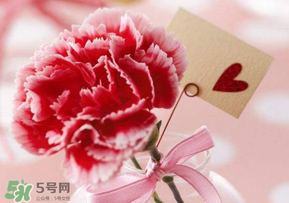 母親節(jié)要送婆婆禮物嗎？母親節(jié)要給婆婆買禮物嗎？