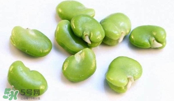 青蠶豆怎么保存？剝好的蠶豆怎么保存