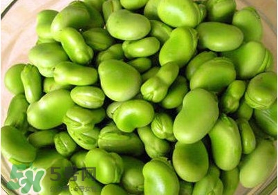 青蠶豆怎么保存？剝好的蠶豆怎么保存