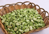 青蠶豆怎么保存？剝好的蠶豆怎么保存