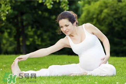 孕婦能做平板支撐嗎？孕婦能做哪些運動？