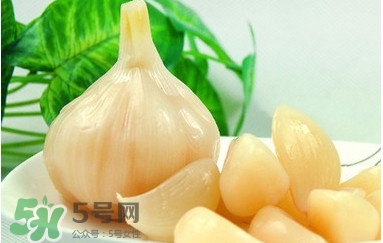 蒜頭泡醋有什么功效？蒜頭泡醋的功效和做法