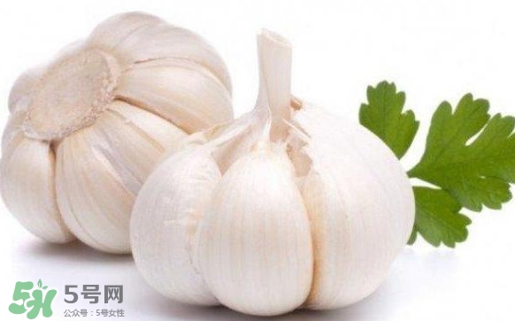 蒜頭怎么腌制好吃？腌制咸蒜的正確方法