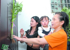 端午節(jié)為什么要掛菖蒲？端午節(jié)掛菖蒲的好處