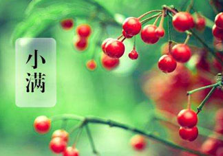 小滿是什么節(jié)氣？小滿是第幾個節(jié)氣？