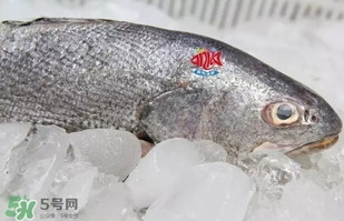 黃唇魚是黃花魚嗎？黃唇魚是黃魚嗎？