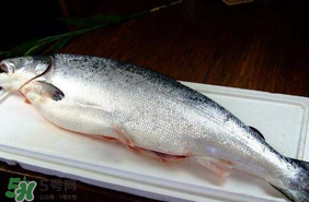 三文魚(yú)可以放多久？三文魚(yú)能放多久？