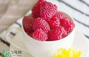 覆盆子是什么？覆盆子是樹莓嗎