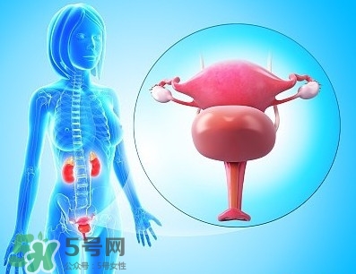 人造子宮能生孩子嗎？人造子宮初現(xiàn)曙光