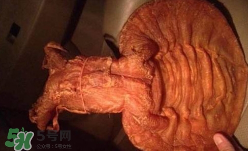 黃唇魚魚鰾是什么？魚鰾是魚的哪個部位