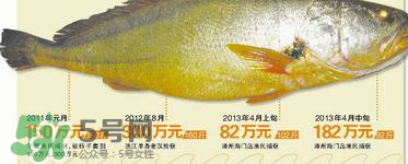 孕婦能吃金錢鱉嗎？懷孕期間能不能吃金錢鱉？