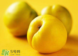 油桃和芒果可以一起吃嗎？芒果和油桃能一起吃嗎？