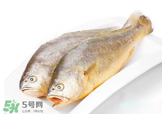 黃唇魚(yú)是不是黃花魚(yú)？黃唇魚(yú)和黃花魚(yú)的區(qū)別