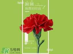 2017年母親節(jié)會(huì)打折嗎？2017年母親節(jié)有什么優(yōu)惠活動(dòng)？