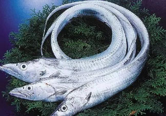 三文魚多少錢一斤2017？新鮮三文魚多少錢一條2017？