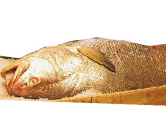 黃唇魚是不是黃花魚？黃唇魚和黃花魚的區(qū)別