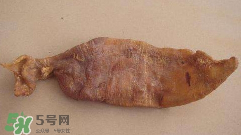 黃唇魚魚鰾是什么？魚鰾是魚的哪個部位