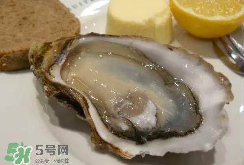 丹麥生蠔能吃嗎？生蠔的吃法大全集
