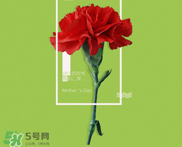 母親節(jié)送什么禮物給老婆？2017年母親節(jié)送老婆禮物推薦