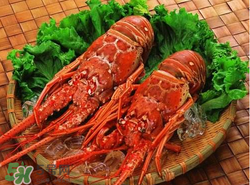 什么時候釣龍蝦最好？龍蝦幾月份能釣？
