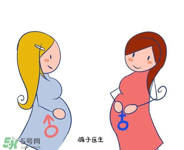 怎么問醫(yī)生胎兒性別？醫(yī)生會告訴胎兒性別嗎？