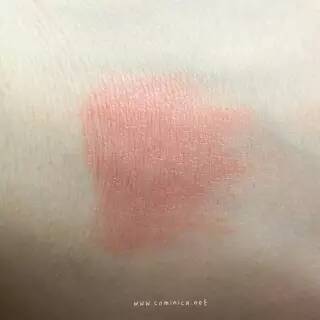 西柚色口紅有哪些？西柚色口紅推薦