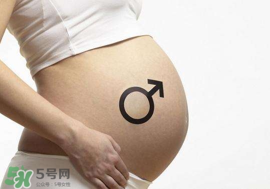 怎么問醫(yī)生胎兒性別？醫(yī)生會告訴胎兒性別嗎？