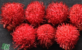 紅毛丹什么時(shí)候上市？紅毛丹什么季節(jié)有？