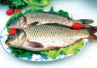 ?五月份吃什么魚？5月份吃什么魚？
