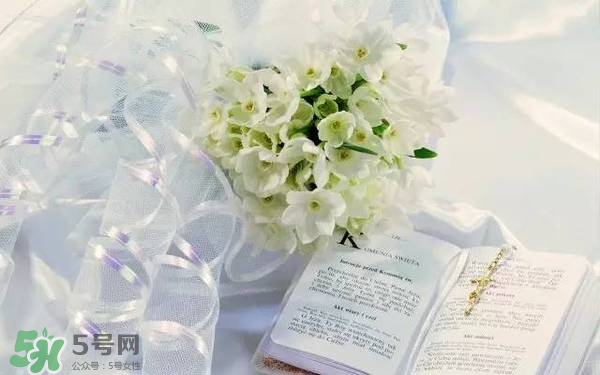 jill stuart湛藍(lán)祝福限定系列有哪些？jill stuart湛藍(lán)限定多少錢？