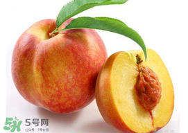 桃子可以放冰箱嗎？桃子能放冰箱保鮮嗎？