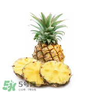 孕婦能吃菠蘿嗎？菠蘿孕婦能不能吃？