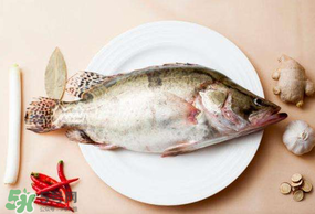 ?五月份吃什么魚？5月份吃什么魚？