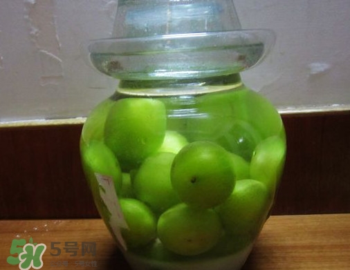 三華李可以泡酒嗎？三華李可以多吃嗎？