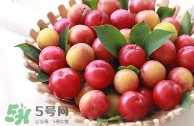 月經(jīng)期可以吃三華李嗎？月經(jīng)期能吃三華李嗎