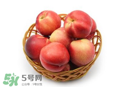 三華李可以泡酒嗎？三華李可以多吃嗎？