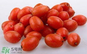 羊奶果可以連皮吃嗎？羊奶果的皮可以吃嗎