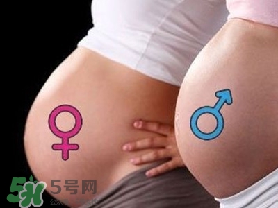 B超單數(shù)據(jù)怎么看男女？B超單看男女準嗎？