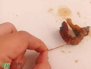 周黑鴨小龍蝦好吃嗎？周黑鴨小龍蝦試吃評測