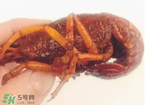 周黑鴨小龍蝦好吃嗎？周黑鴨小龍蝦試吃評測