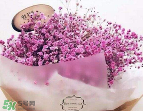 母親節(jié)可以送滿天星嗎？母親節(jié)能送滿天星嗎？