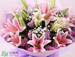 百合花多少錢一支2017？百合花多少錢一束2017？
