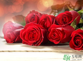 母親節(jié)送什么顏色的玫瑰花？母親節(jié)送幾朵玫瑰花？